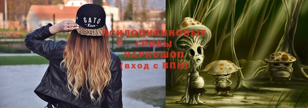 тгк Аркадак