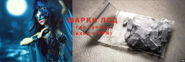 стаф Балахна