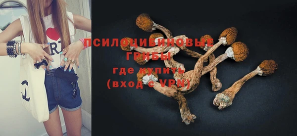 тгк Аркадак