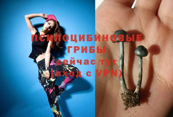 мдпв Инта