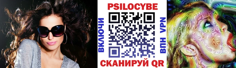площадка Telegram  Бодайбо  Галлюциногенные грибы Cubensis 